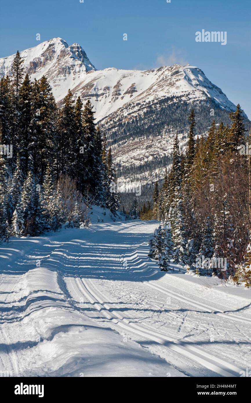 Banff National Park, dog sledding, Lake Louise, Alberta Stock Photo Alamy