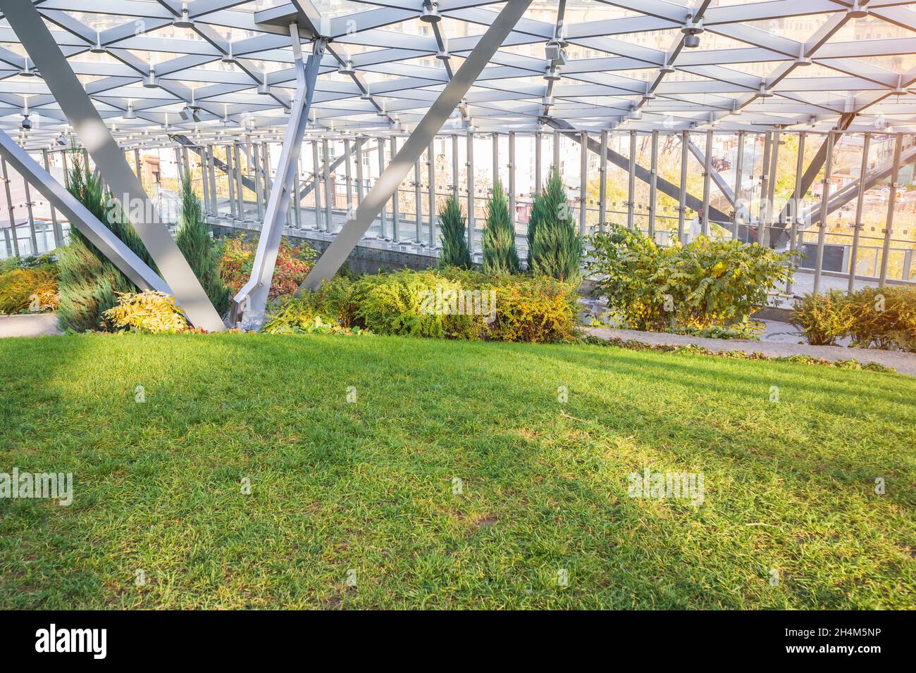 modern greenhouse growing trees flowers glass roof sun light. automatic