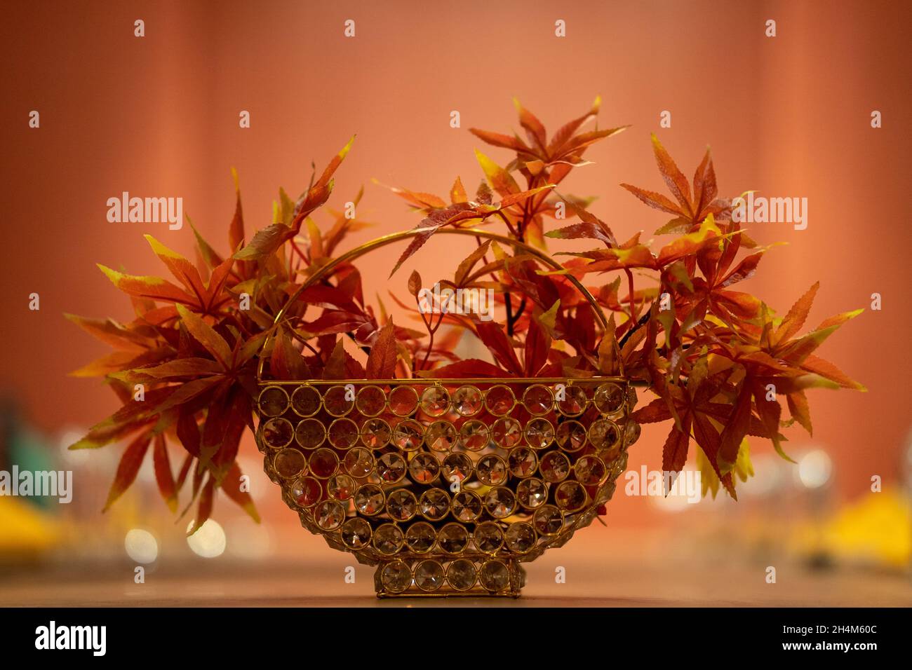 Beautiful closeup of the decorative orange Rotala Macrandra plant put in a vase; blurry background Stock Photo