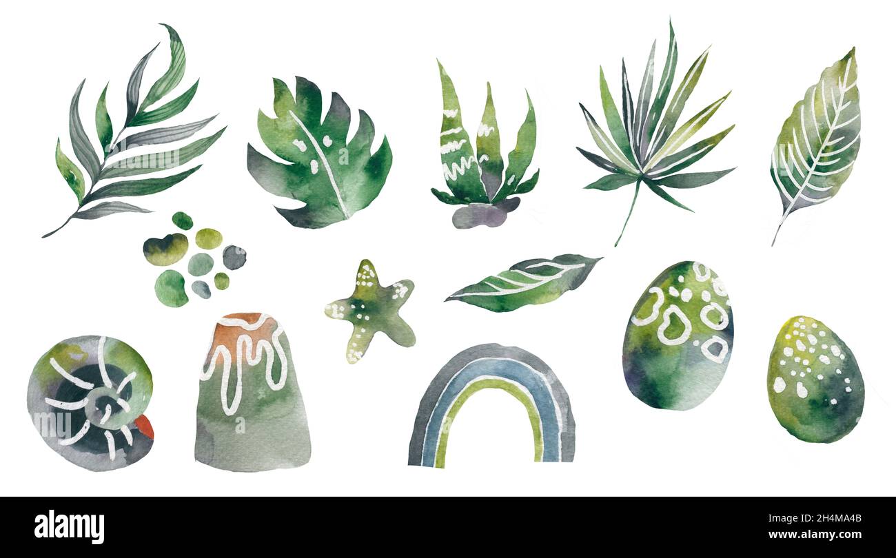 Set of watercolor tropical leaves isolated on white background Stock ...