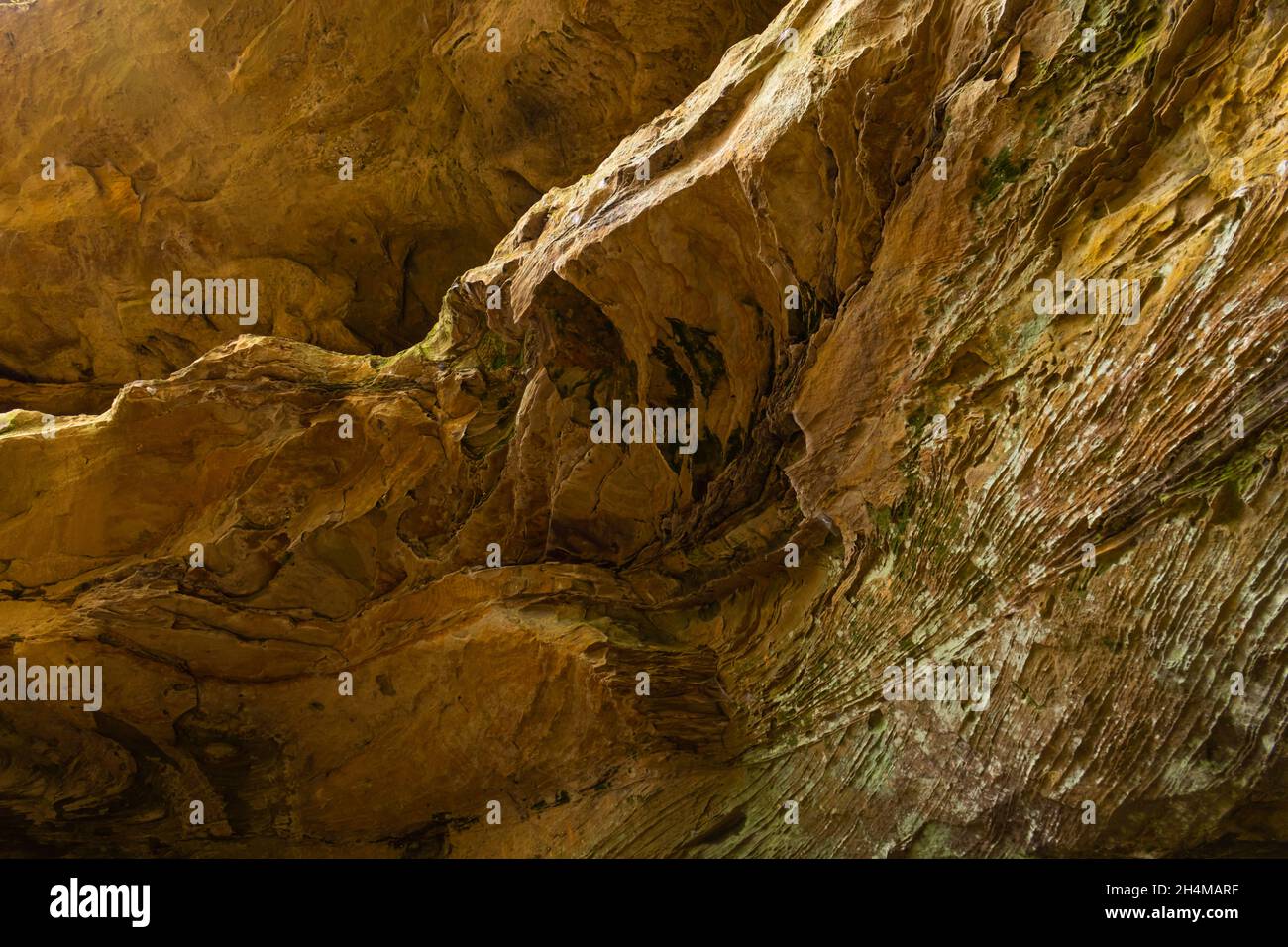 Canyon wall geologic detail Stock Photo