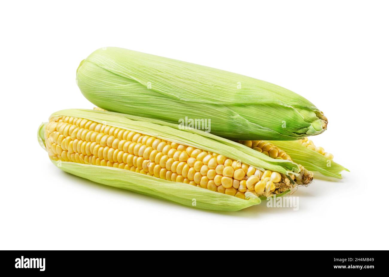 Corncobs or corn ears isolated on white background Stock Photo