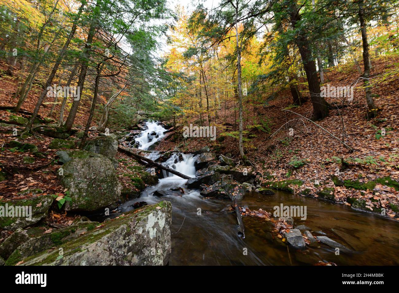 Beautiful shot of a waterfall in the middle of a forest Stock Photo - Alamy