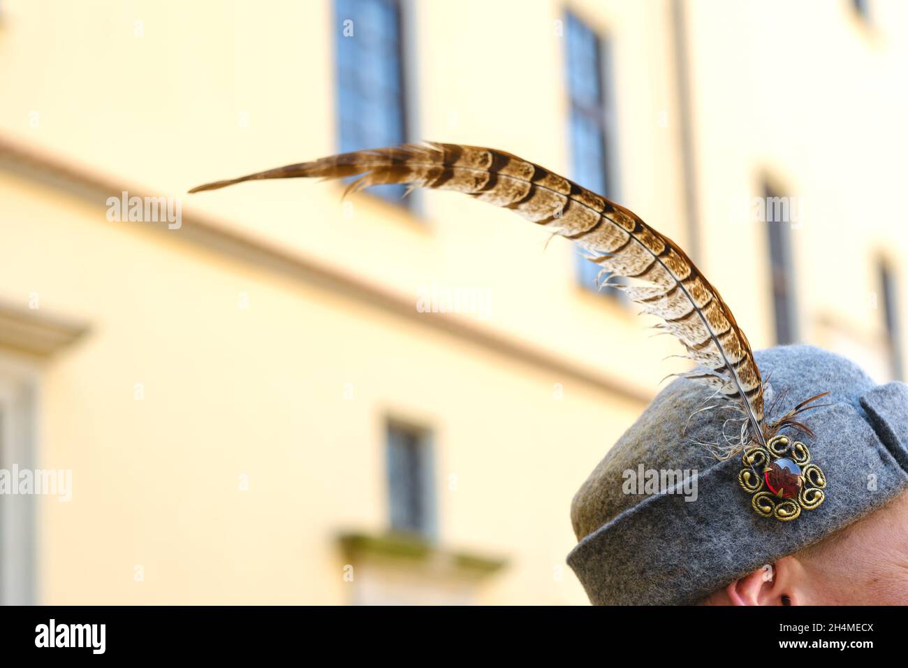 A feather in an old soldier's hat.Medieval concept Stock Photo Alamy