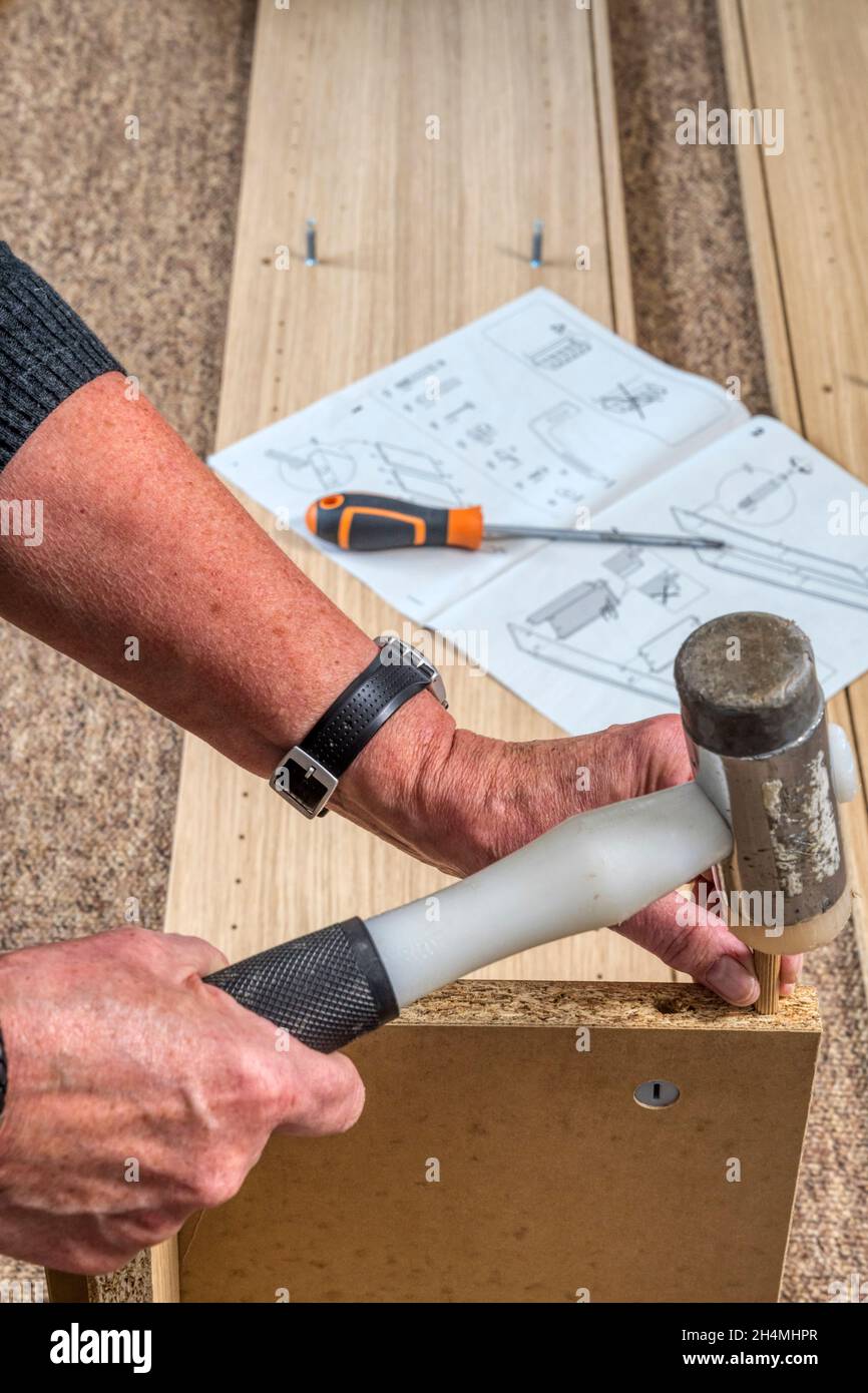 Woman building a selfassembly IKEA Billy bookcase flat pack furniture