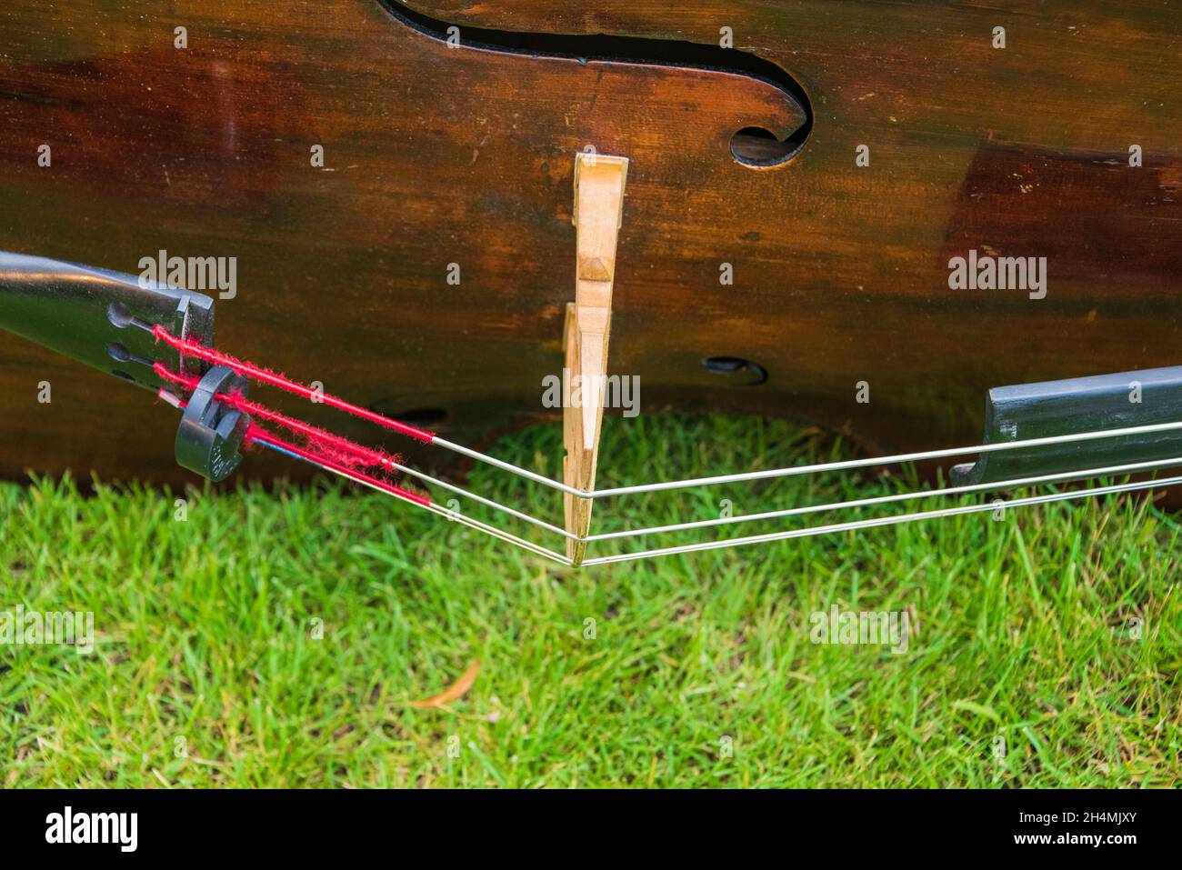 Contrabass on a background of green grass. The musical instrument ...