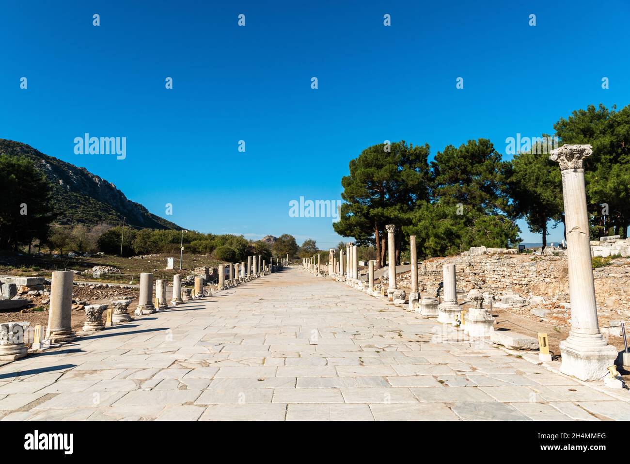 Harbour Street in Ephesus, Turkey. Formally the Arcadian Way, Harbour Street was built by Byzantine emperor Arcadius in a late attempt to revive the f Stock Photo