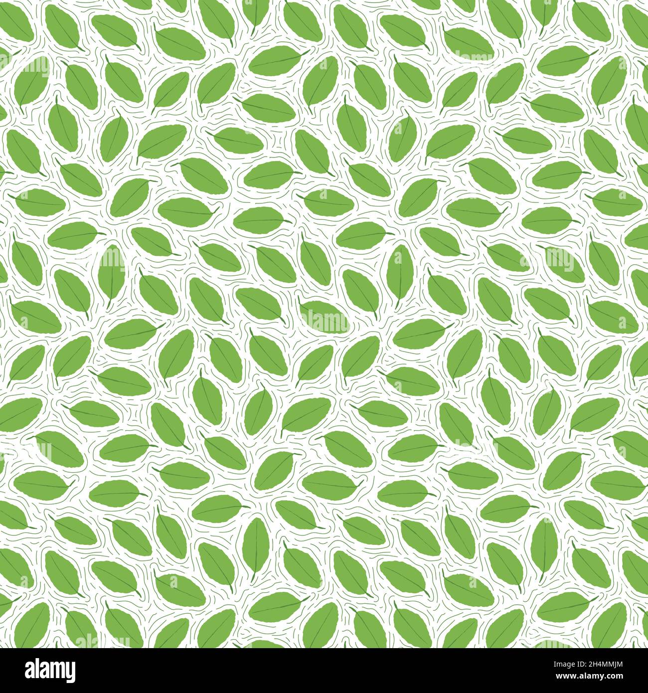 Decorative background with citrus plant parts, seamless pattern Stock ...