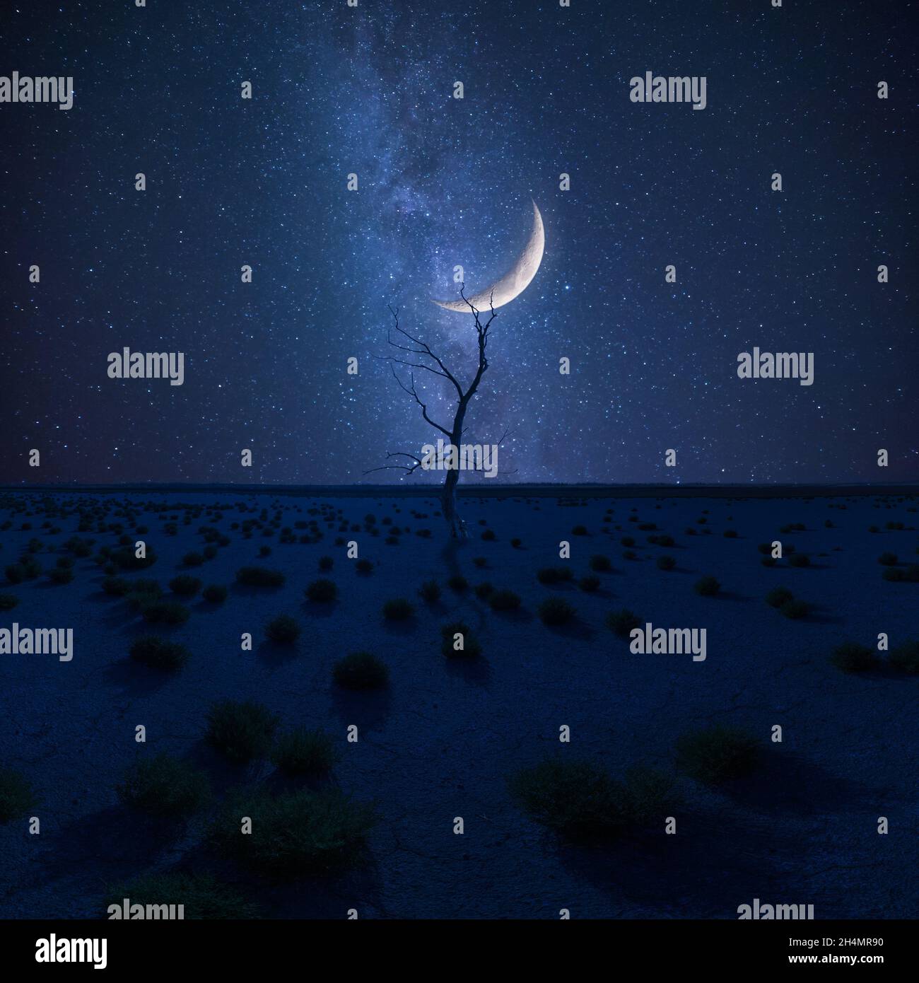 Lonely dry tree in desert on night landscape, stars and moon above, climate change Stock Photo