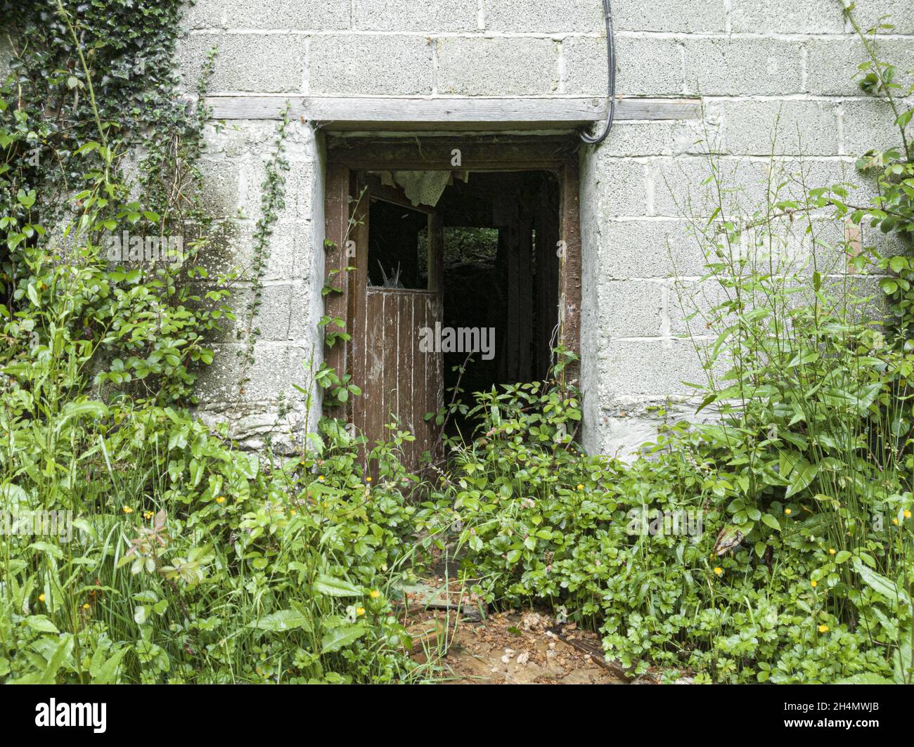 Old, derelict building in Wales Stock Photo - Alamy