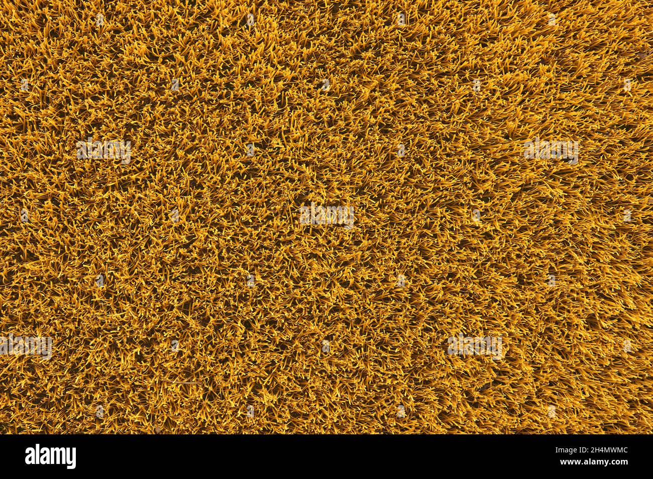 Plastic floor texture hires stock photography and images Alamy