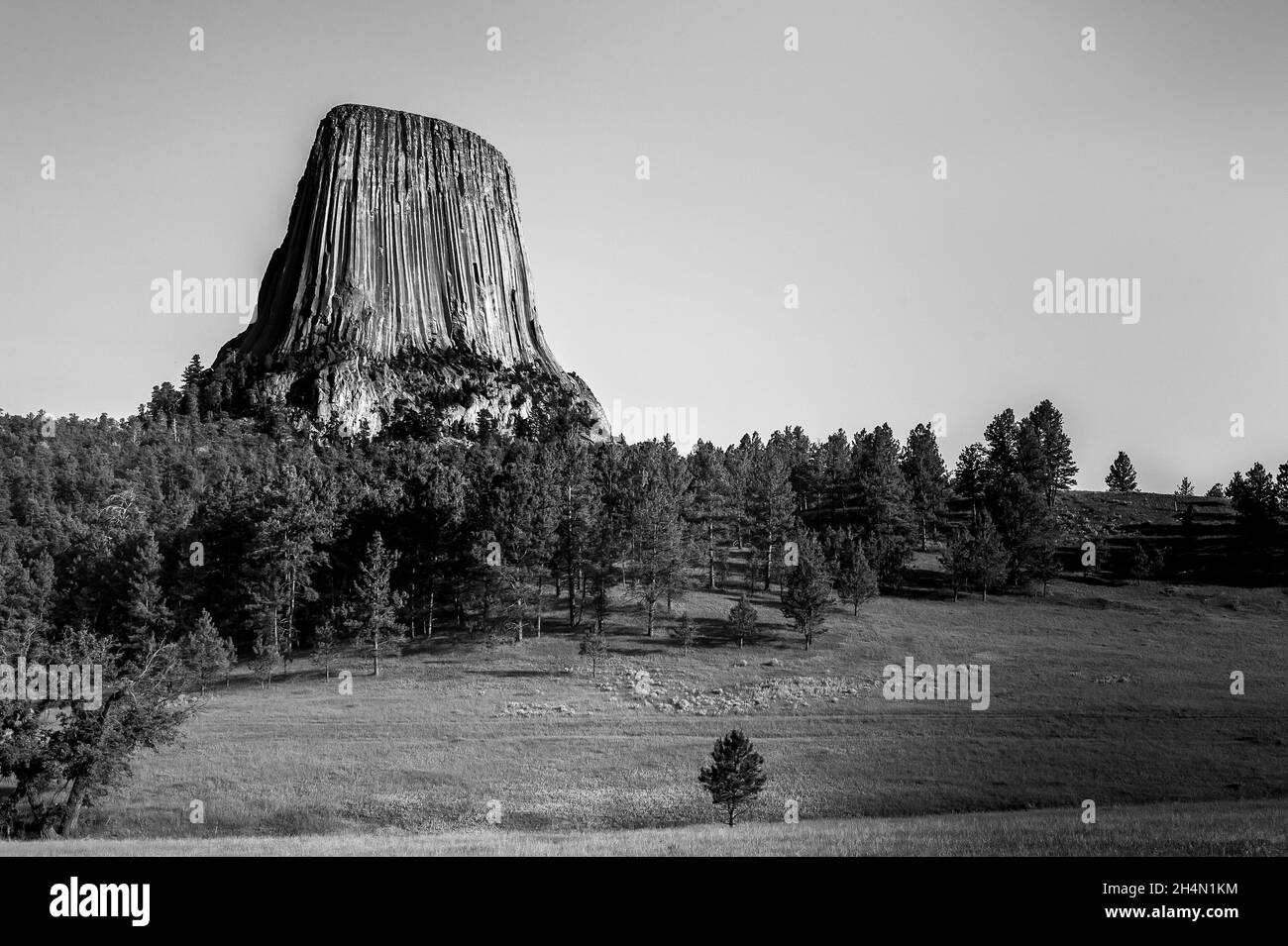 Black and white photos of Devils Tower above trees and a meadow Stock Photo
