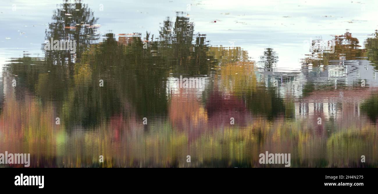 Fall colors are reflected on a lake, creating the effect of an abstract, impressionistic painting. Stock Photo