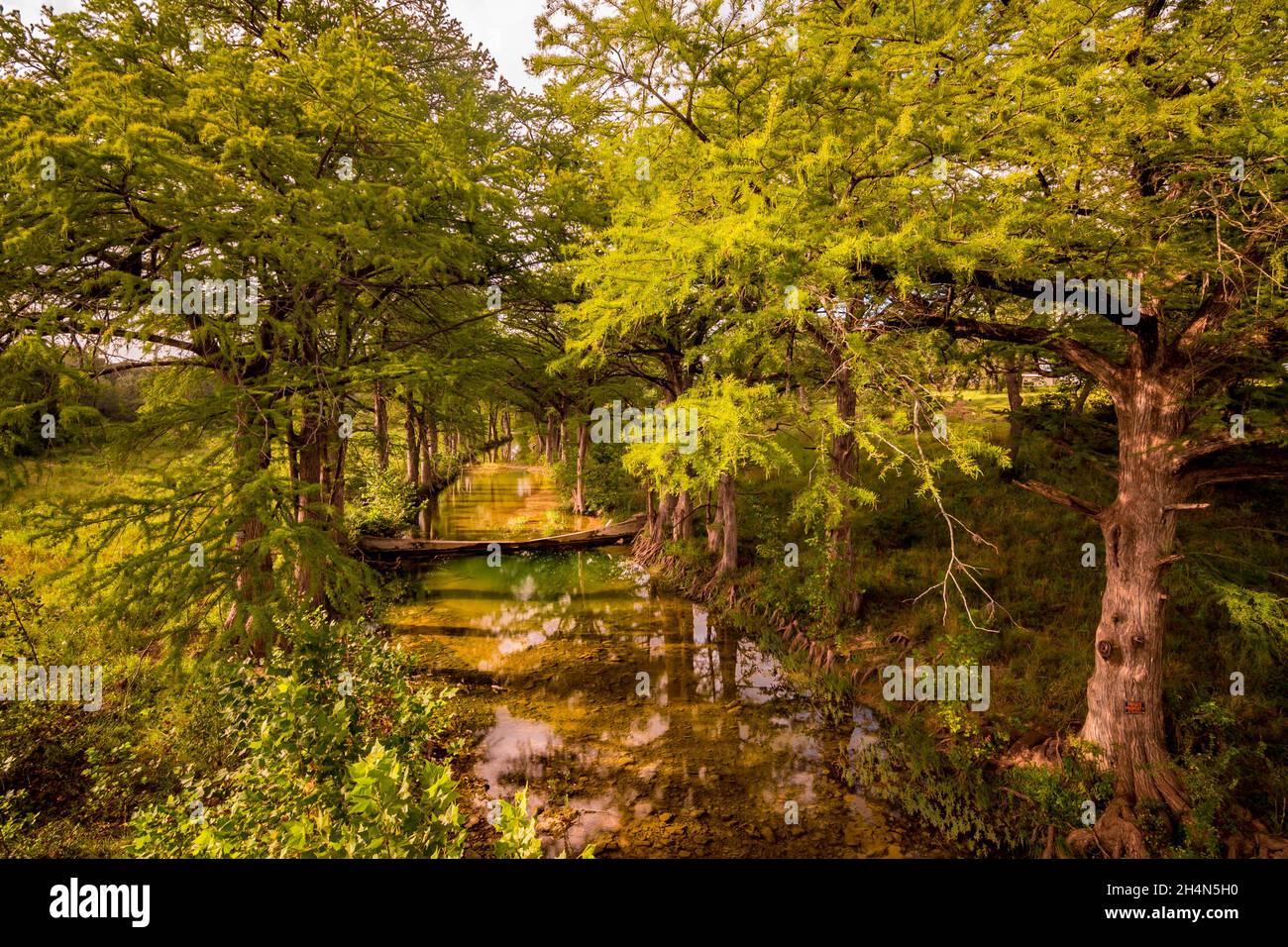 Miller Creek at Johnson City Texas Stock Photo Alamy