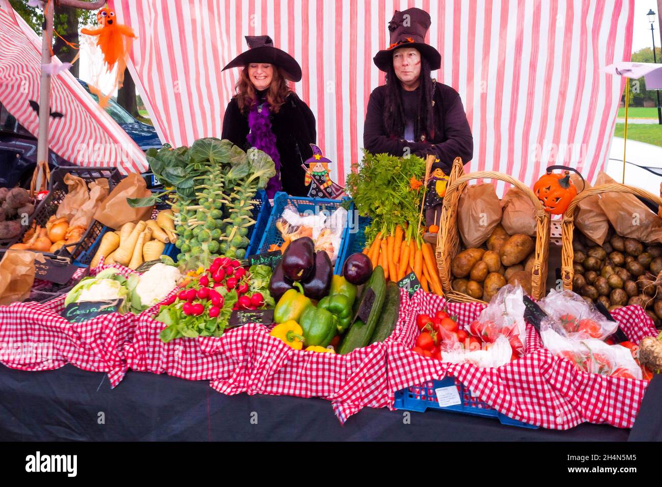 Two woman stall holders at a farmer's market at the Walled Rose Garden Wynyard Hall dressed for Halloween serving fruit and vegetables in pouring rain Stock Photo