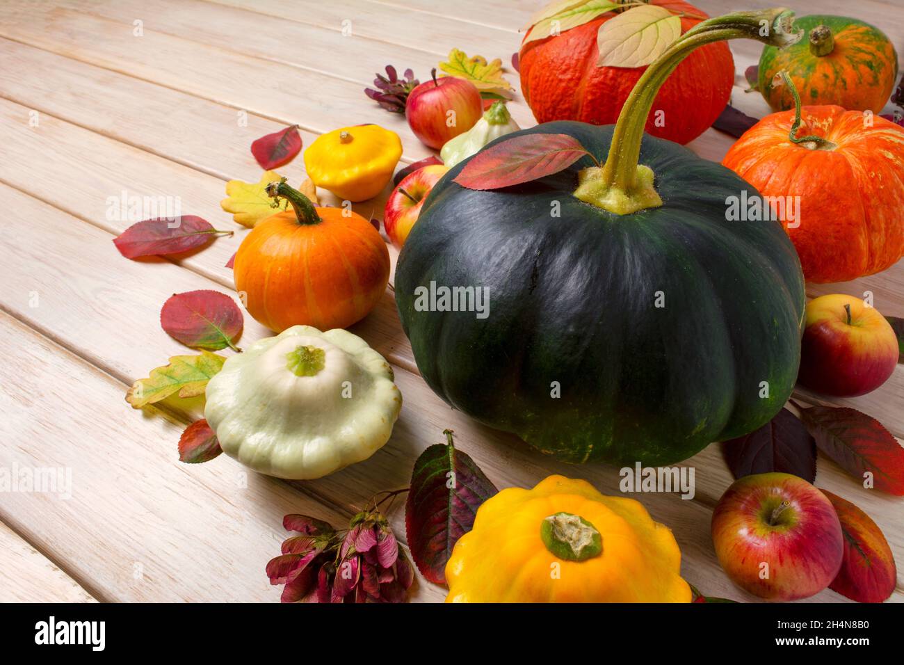 Thanksgiving rustic arrangement with green and orange pumpkins, red leaves on the white wooden table Stock Photo