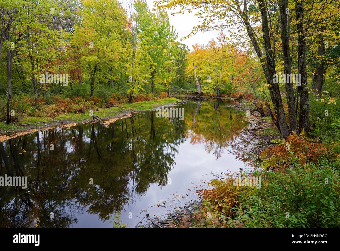 Missisquoi national wildlife refuge hires stock photography and images Alamy