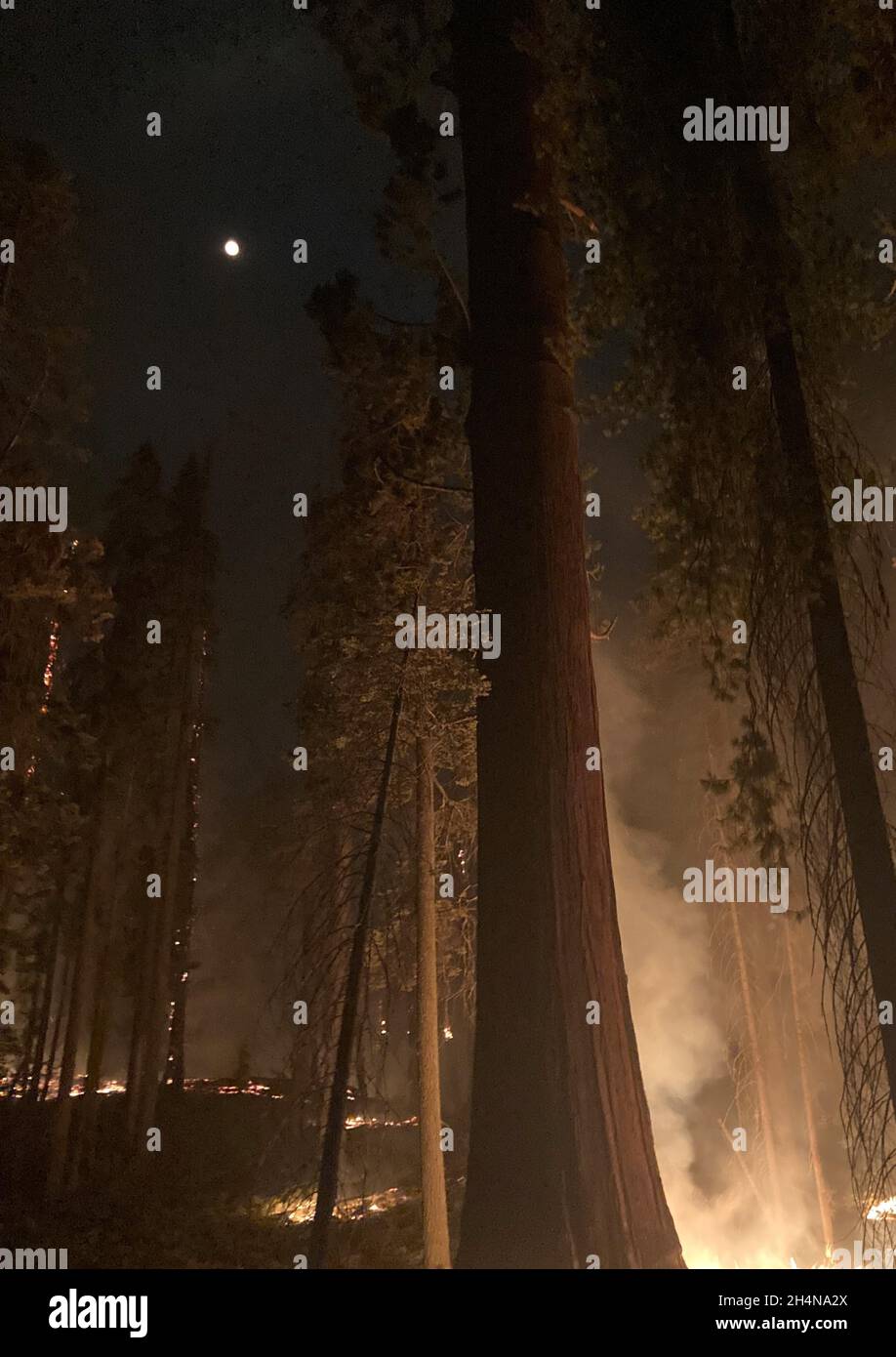Three Rivers, California, United States. 28th Sept, 2021.  Night shift with moon above KNP Complex wildfire in Sequoia & Kings Canyon National Parks, Three Rivers, California. A fire, beginning with a lightning strike September 9, 2021, burned over 88-thousand acres in the Sequoia and Kings Canyon National Parks including part of an historic grove of giant sequoia trees. Stock Photo