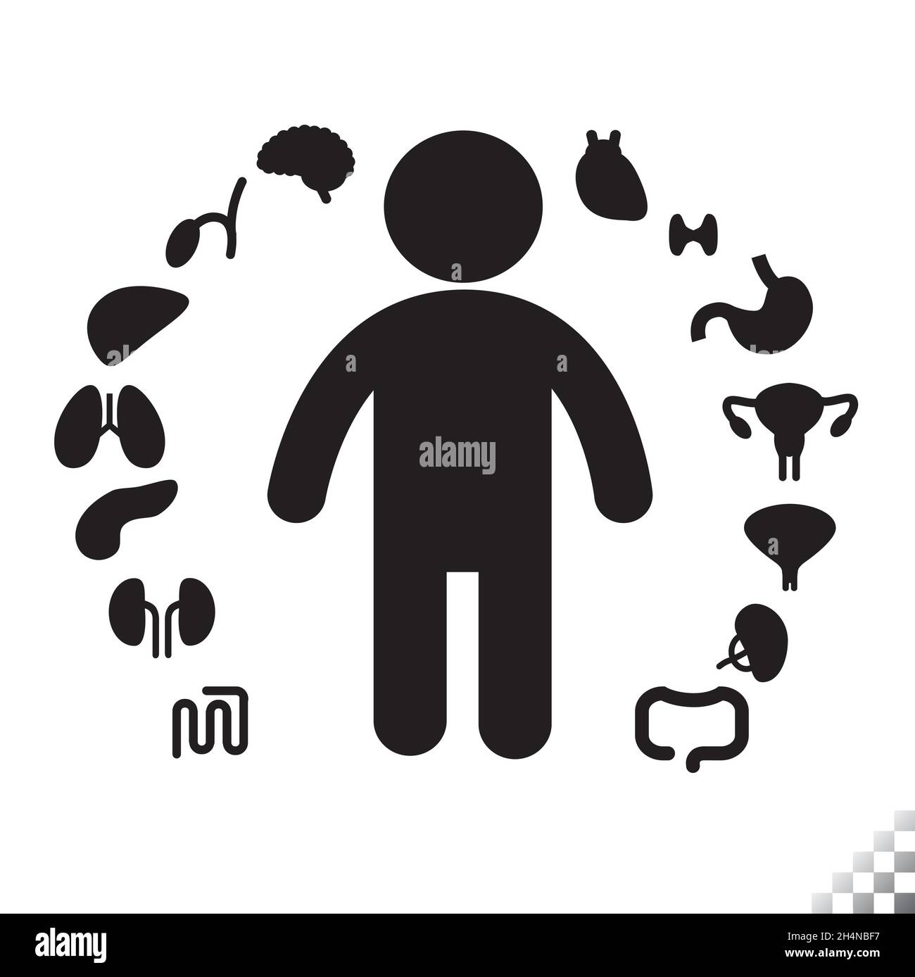 solid stick figure icon with human icon organs circling the person, heart, liver, lungs, stomach, reproductive system, gallbladder, kidneys, Stock Vector