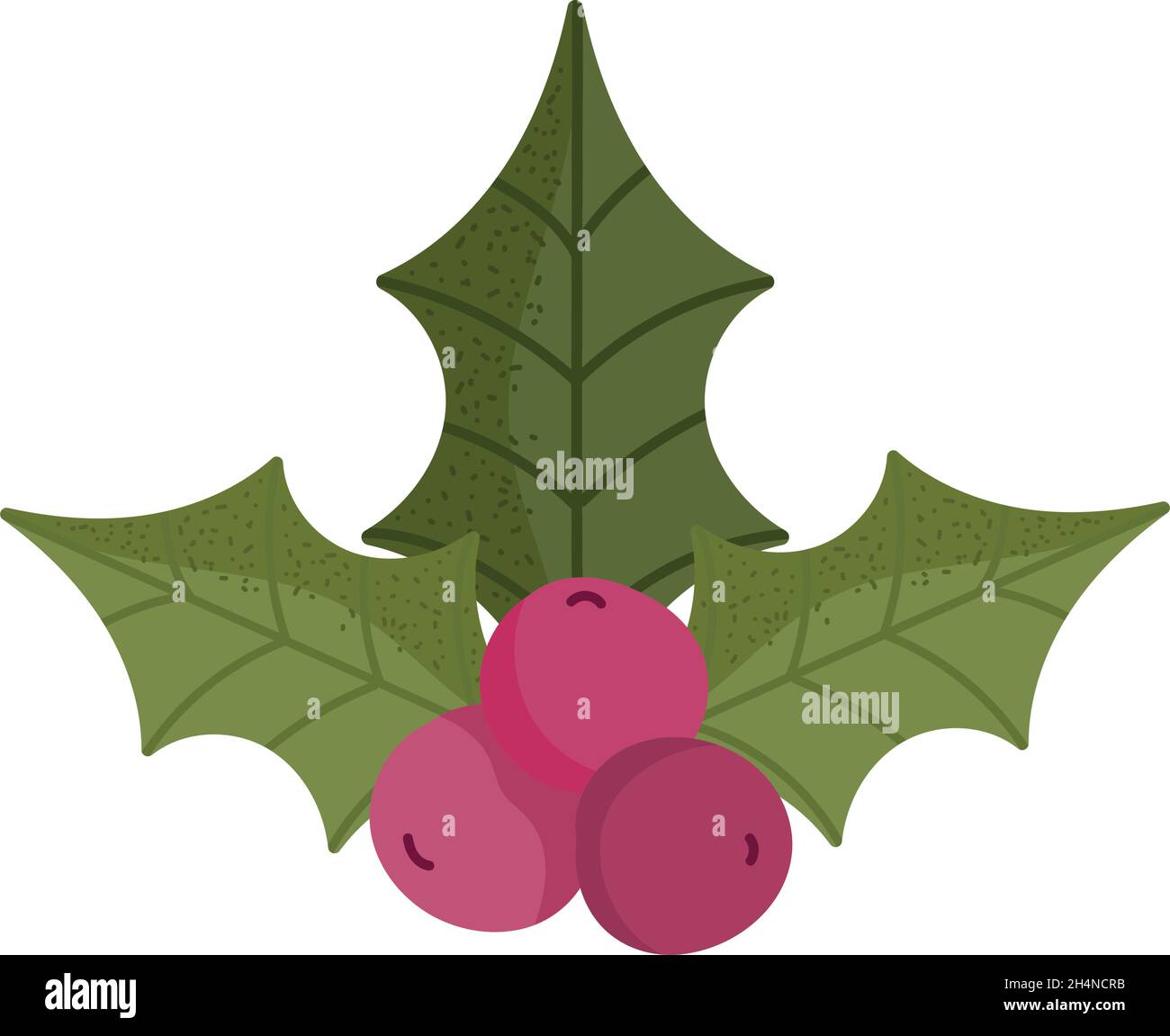 christmas holly berry Stock Vector Image & Art - Alamy