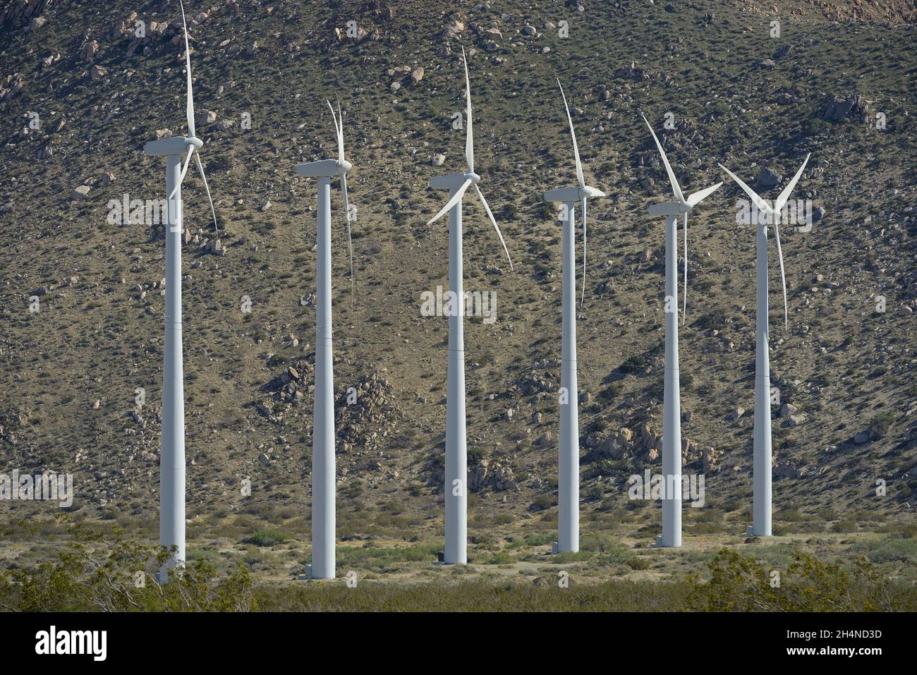 The immense San Pass wind farm, near Cabazon CA Stock Photo Alamy