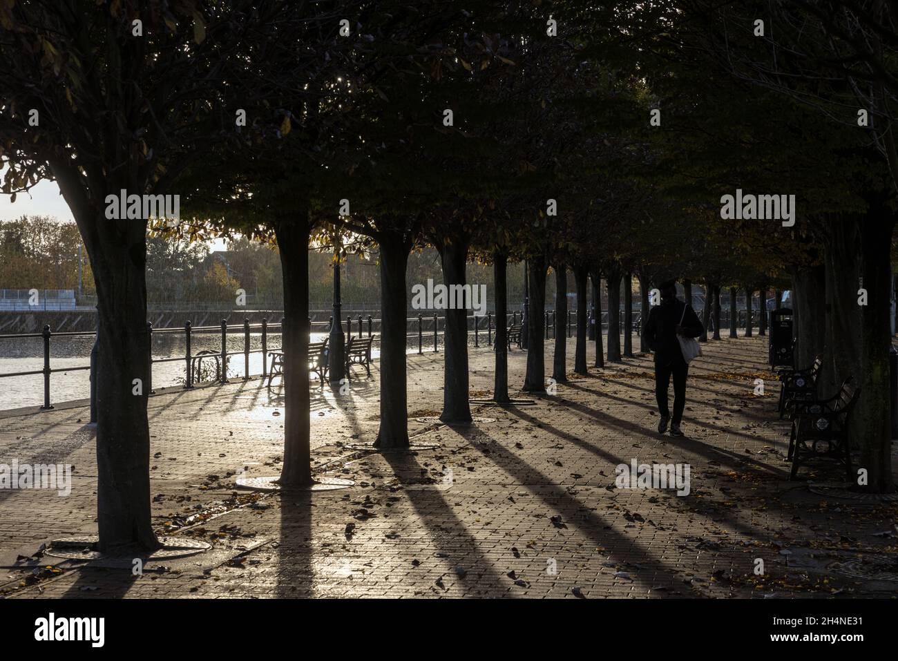 Sunshine and rain on a tree-lined avenue in Salford Quays Stock Photo