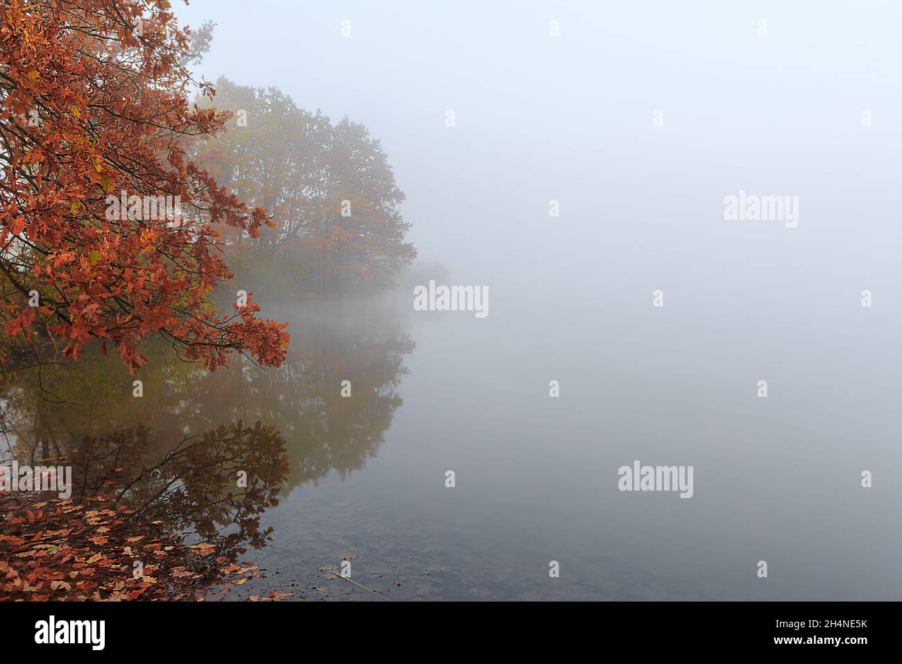 The misty foggy autum on a small lake Stock Photo