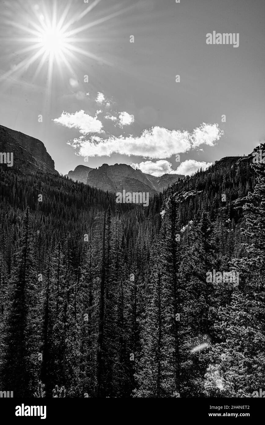 Autumn in forest mountain Black and White Stock Photos & Images - Alamy