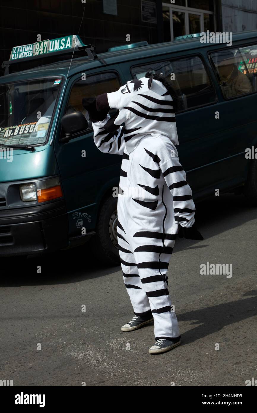 Traffic zebras helping pedestrians cross the street, La Paz, Bolivia, South America Stock Photo
