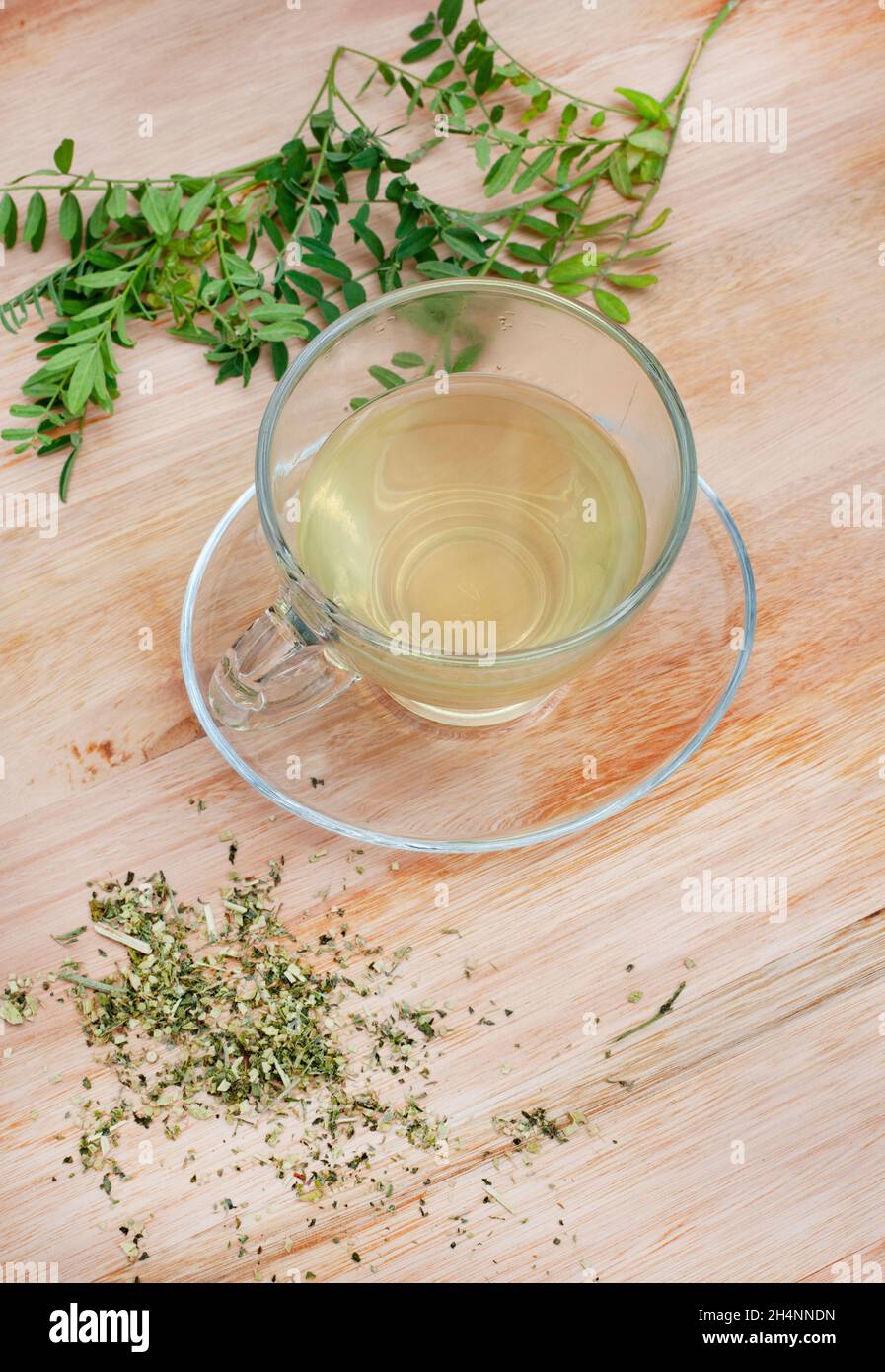 Cancer bush tea, traditional herbal medicine made from Sutherlandia plant Stock Photo