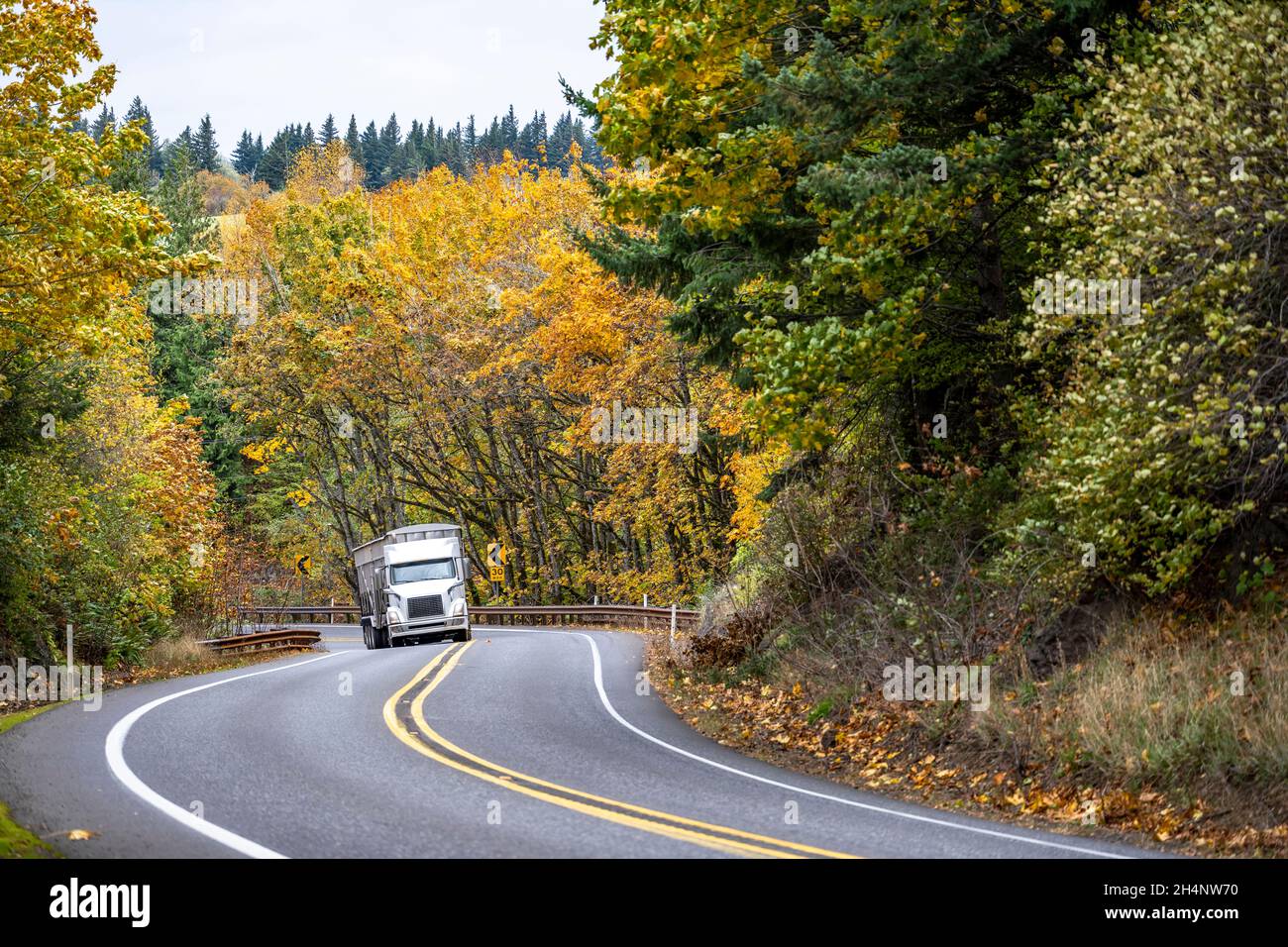 Big rig white semi truck with high cab transporting commercial cargo in covered bulk semi trailer running for delivery climbing up hill on the winding Stock Photo