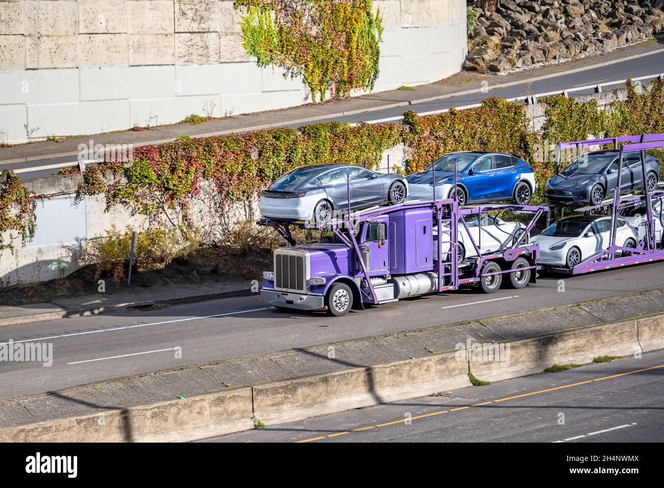 Bright Purple industrial car hauler big rig semi truck transporting electric cars on the hydraulic modular semi trailer driving on the divided highway Stock Photo