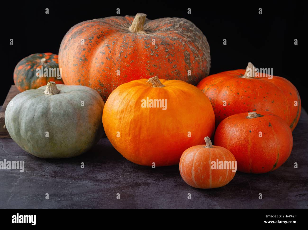 Autumn pumpkins on grey table Stock Photo