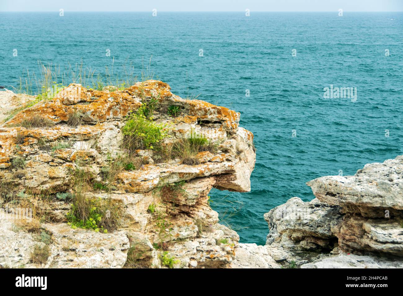 Vegetation on the Tyulenovo Cliffs, Black Sea, Bulgaria Stock Photo