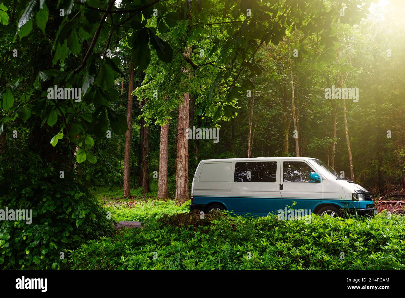 T4 Transporter van in a forest with the sun shining through Stock Photo