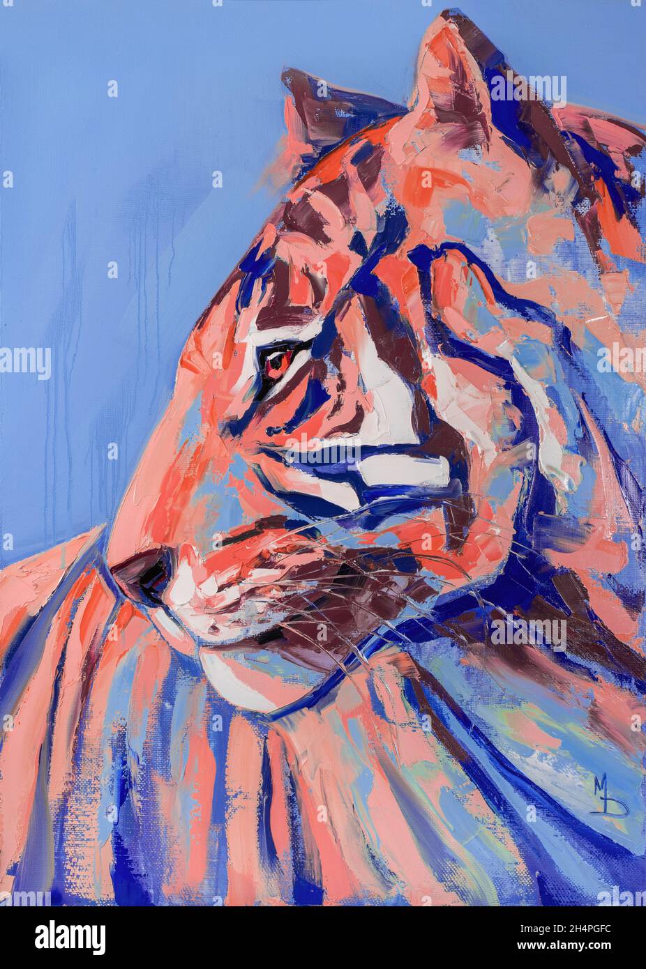 symbol of the new 2022 Black Water Tiger. Beautiful wild tiger head portrait painting Illustration on a blue background. Animal painting for Stock Photo