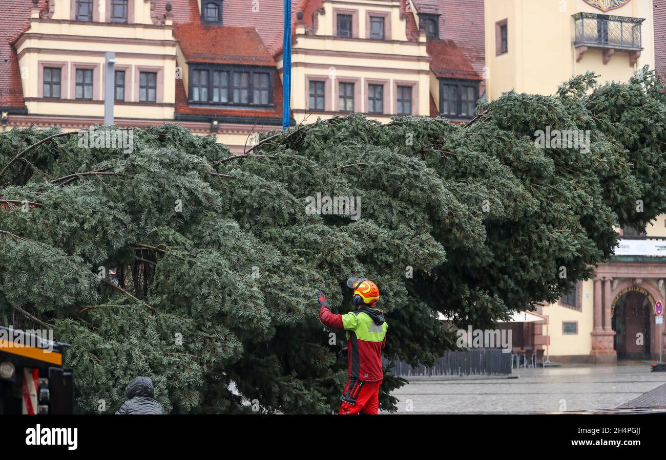 Leipzig Christmas Tree 2022 04 November 2021, Saxony, Leipzig: Employees Of A Forestry Company Prepare  To Put Up The Fir Tree For The Leipzig Christmas Market. This Year, The  22-Metre High Tree Comes From Nerchau, A