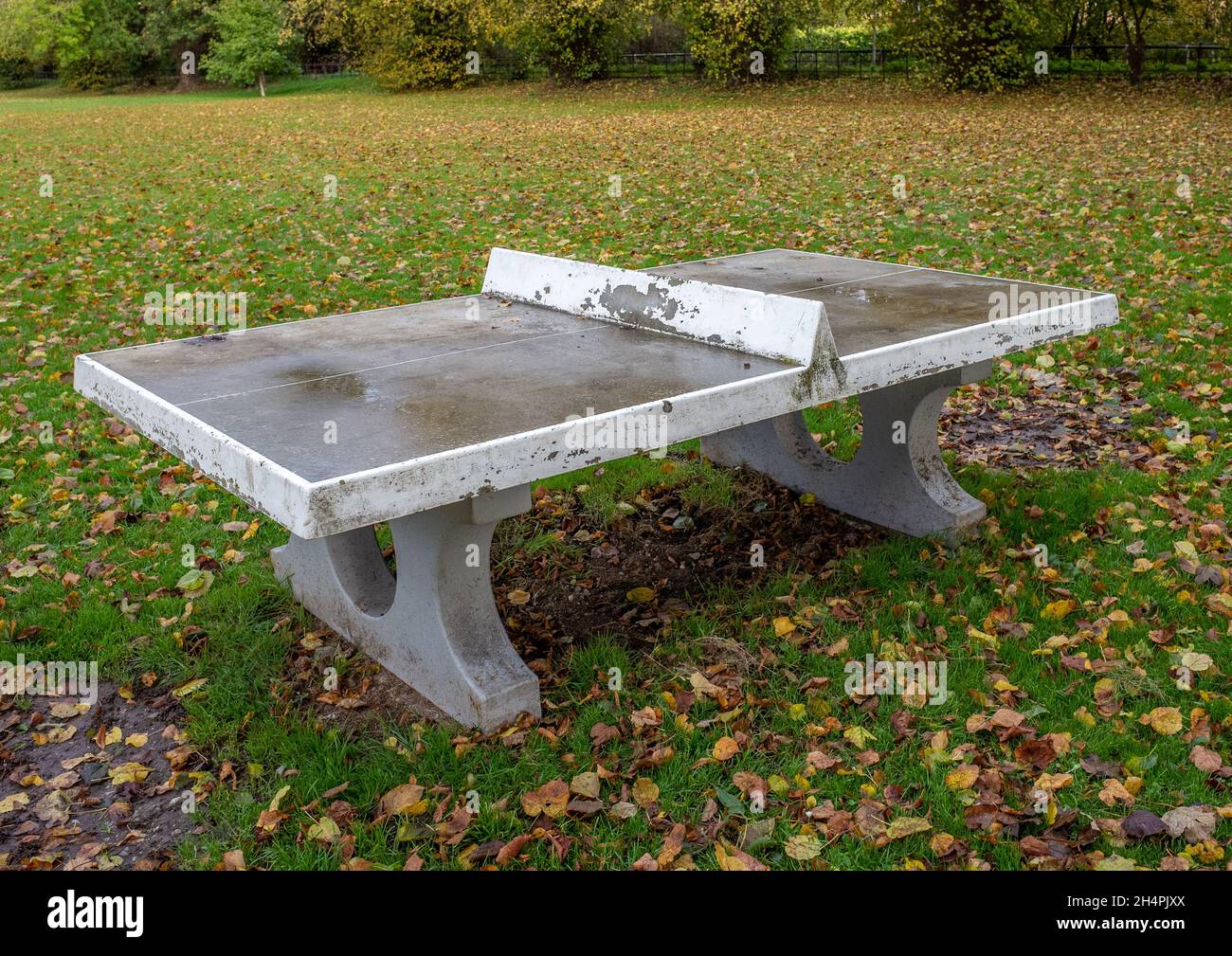 Concrete public table tennis or ping pong table in a green field with autumn colours. Stock Photo