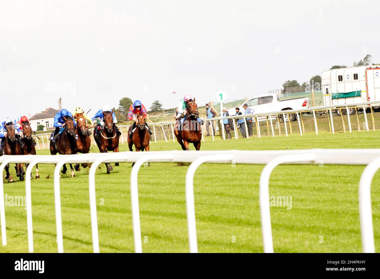 Thoroughbred british racing hi-res stock photography and images - Alamy