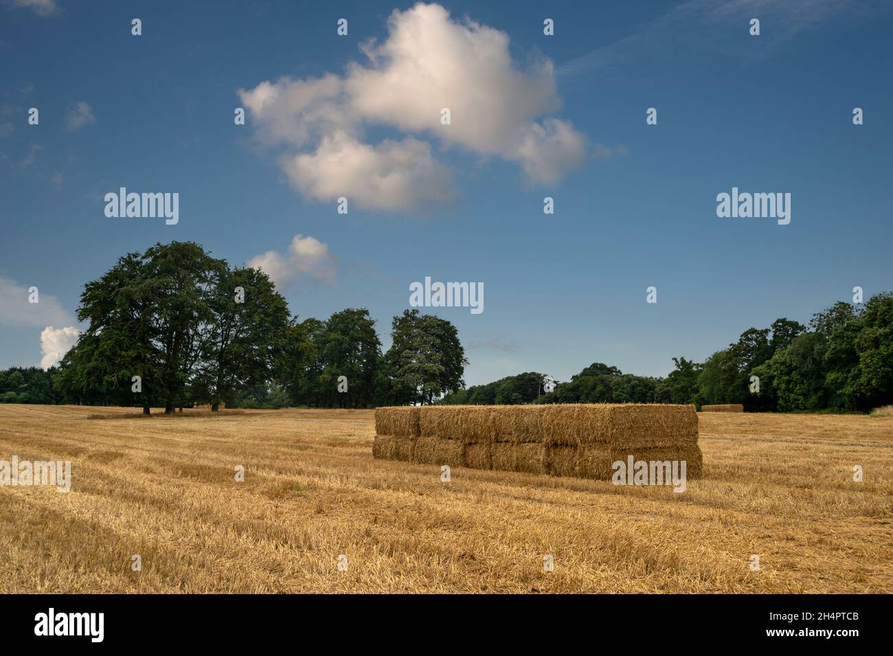 Straw bales stacked in a field Stock Photo - Alamy