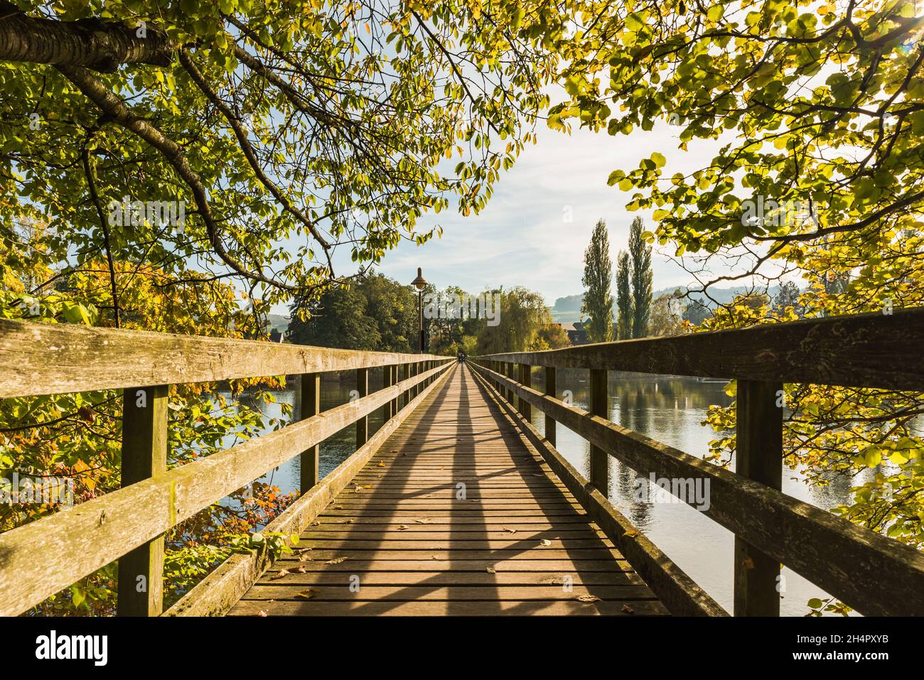 Wooden bridge over the Rhine River Stock Photo - Alamy