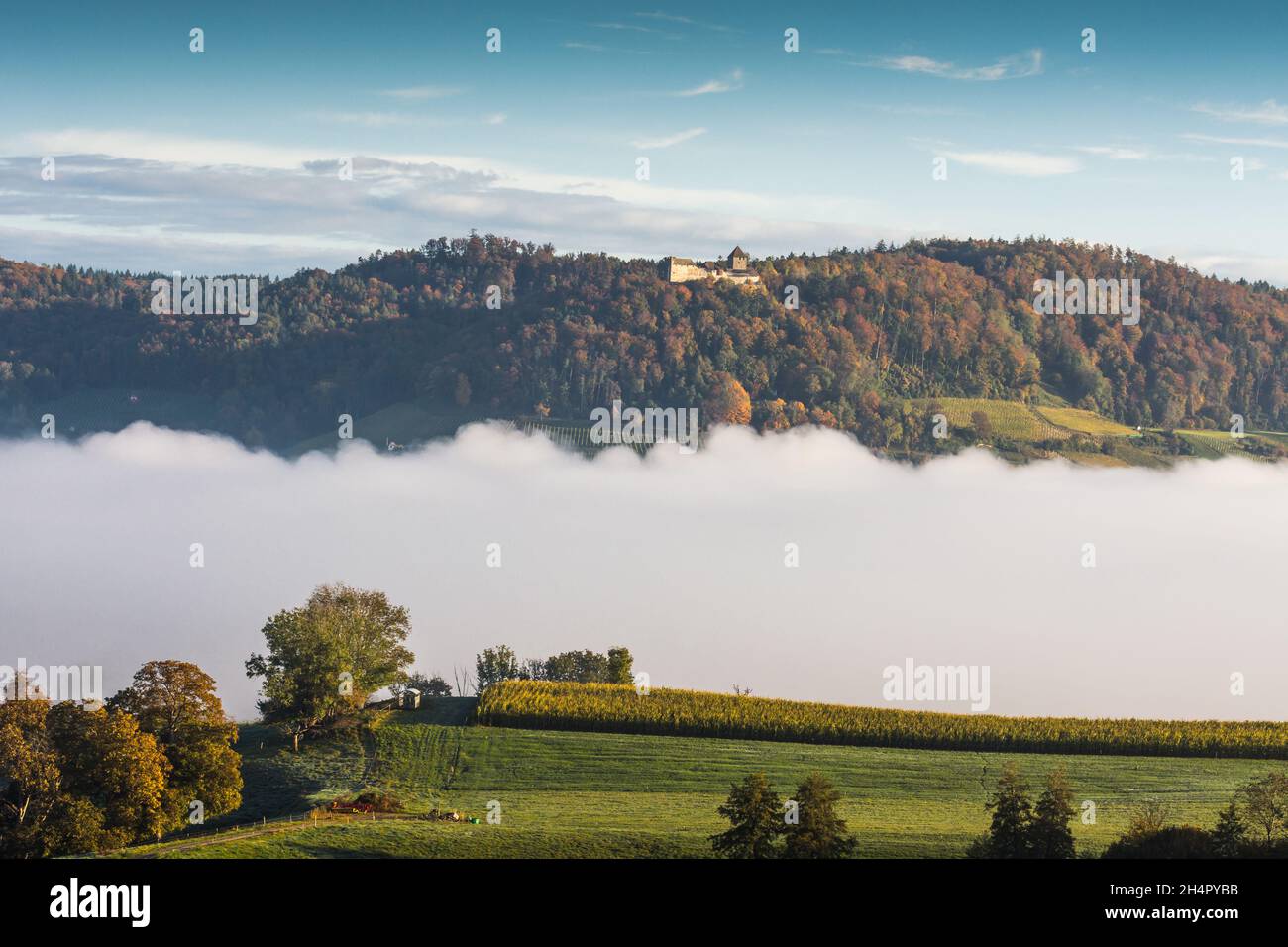 Autumn forest and wafts of mist at Hohenklingen Castle Stock Photo