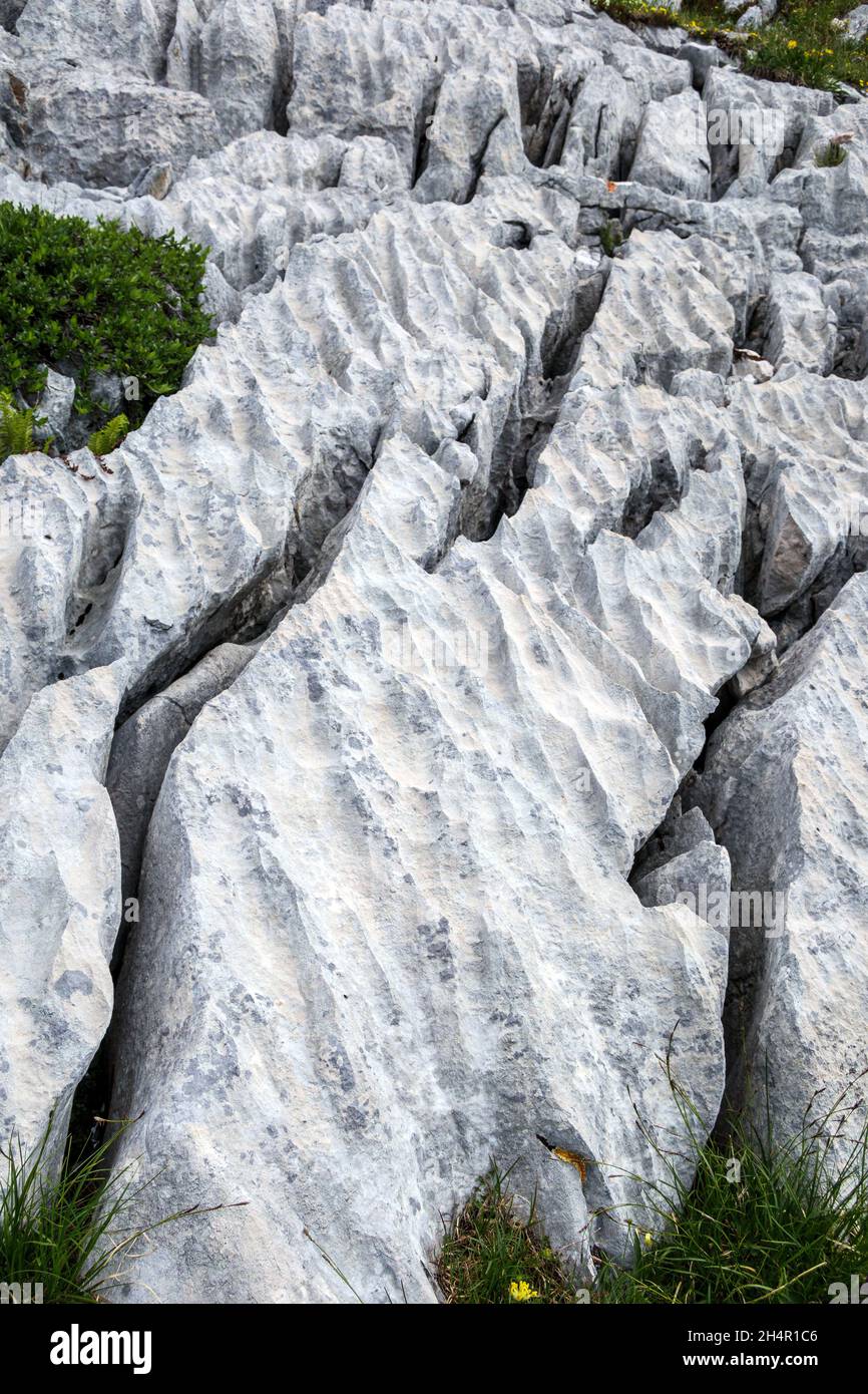 Karst phenomena. crevasses. Rectilinear grooves. Sedimentary limestone rocks of the Dolomites. Dolomiti d'Ampezzo Natural Park. Italian Alps. Europe. Stock Photo