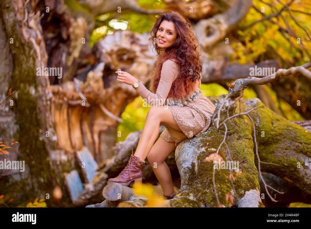 Colors of autumn model