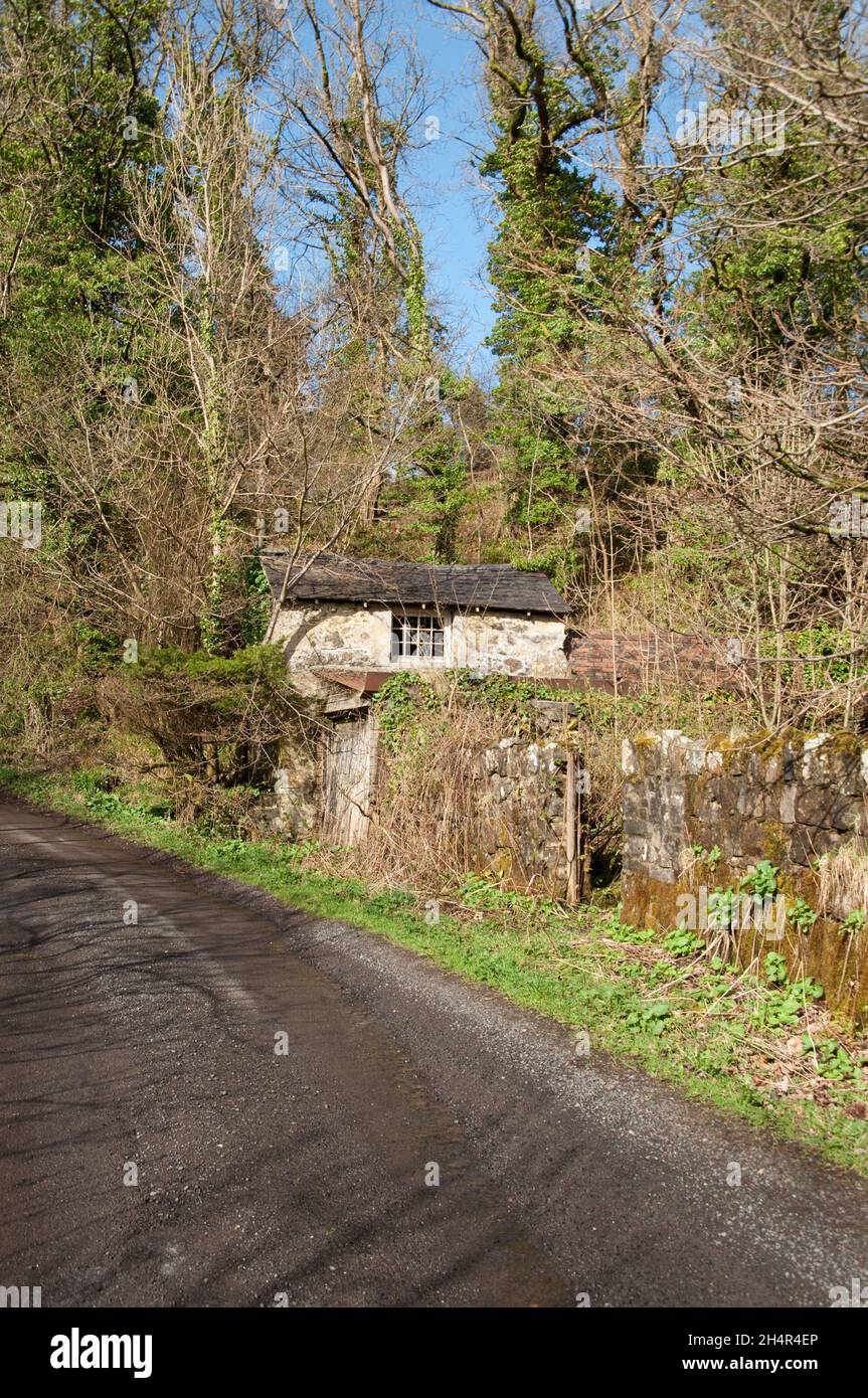 Abandoned outhouse, Old Mill House, Lochwinnoch, Refrewshire, Scotland