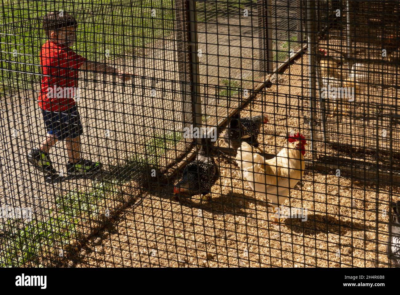 Drumlin farm wildlife sanctuary Mass Audubon Lincoln Massachusetts Stock Photo