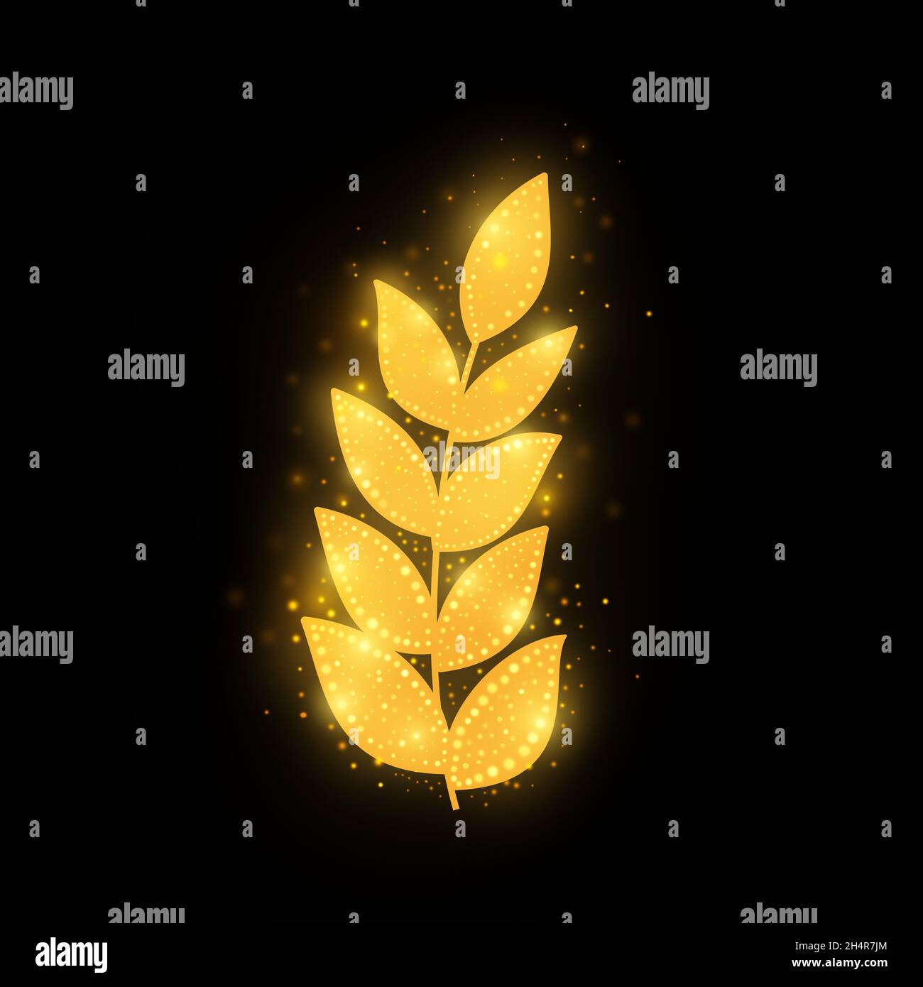 A floral element isolated on black background Stock Photo