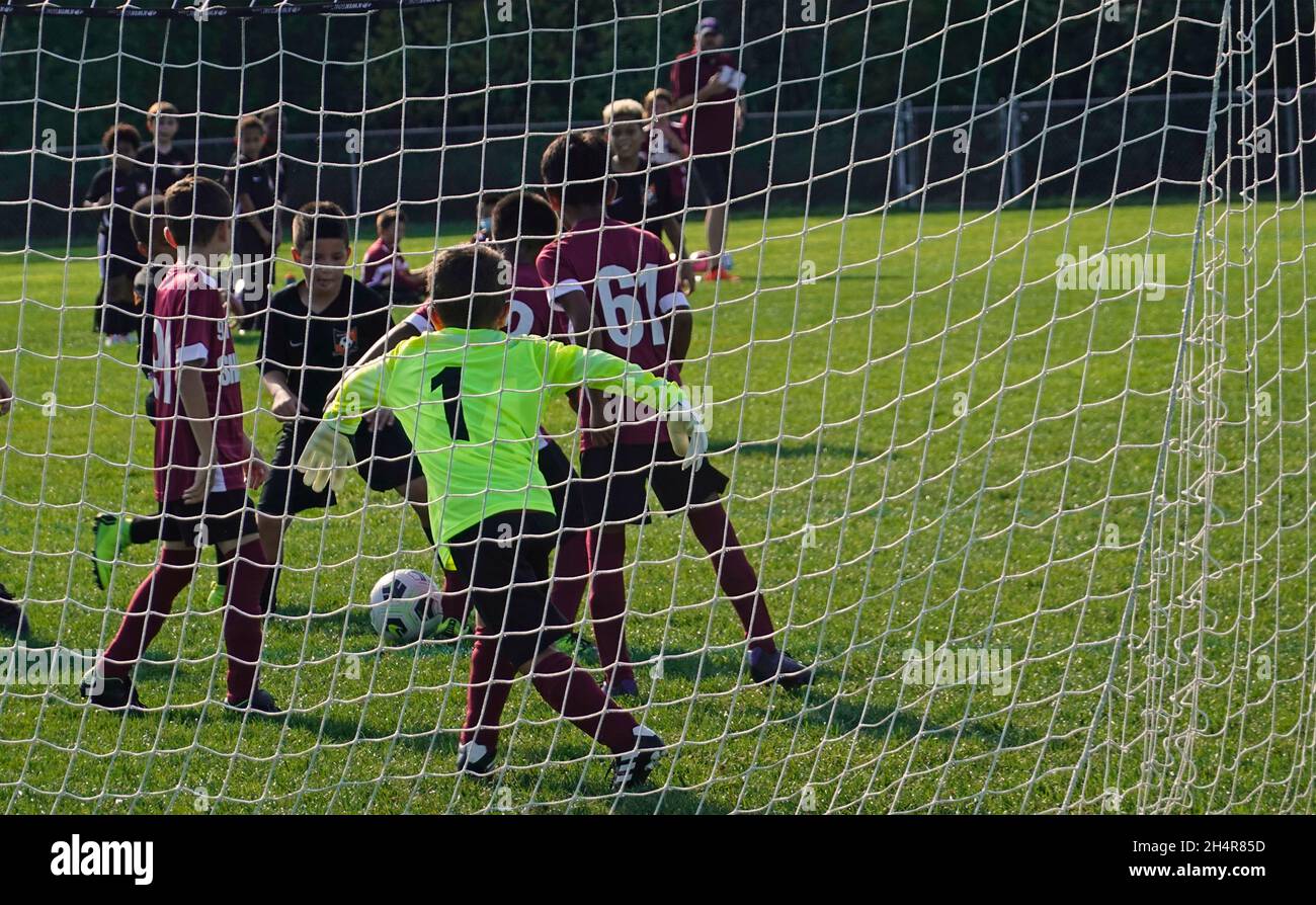 Soccer goalie gloves hires stock photography and images Alamy