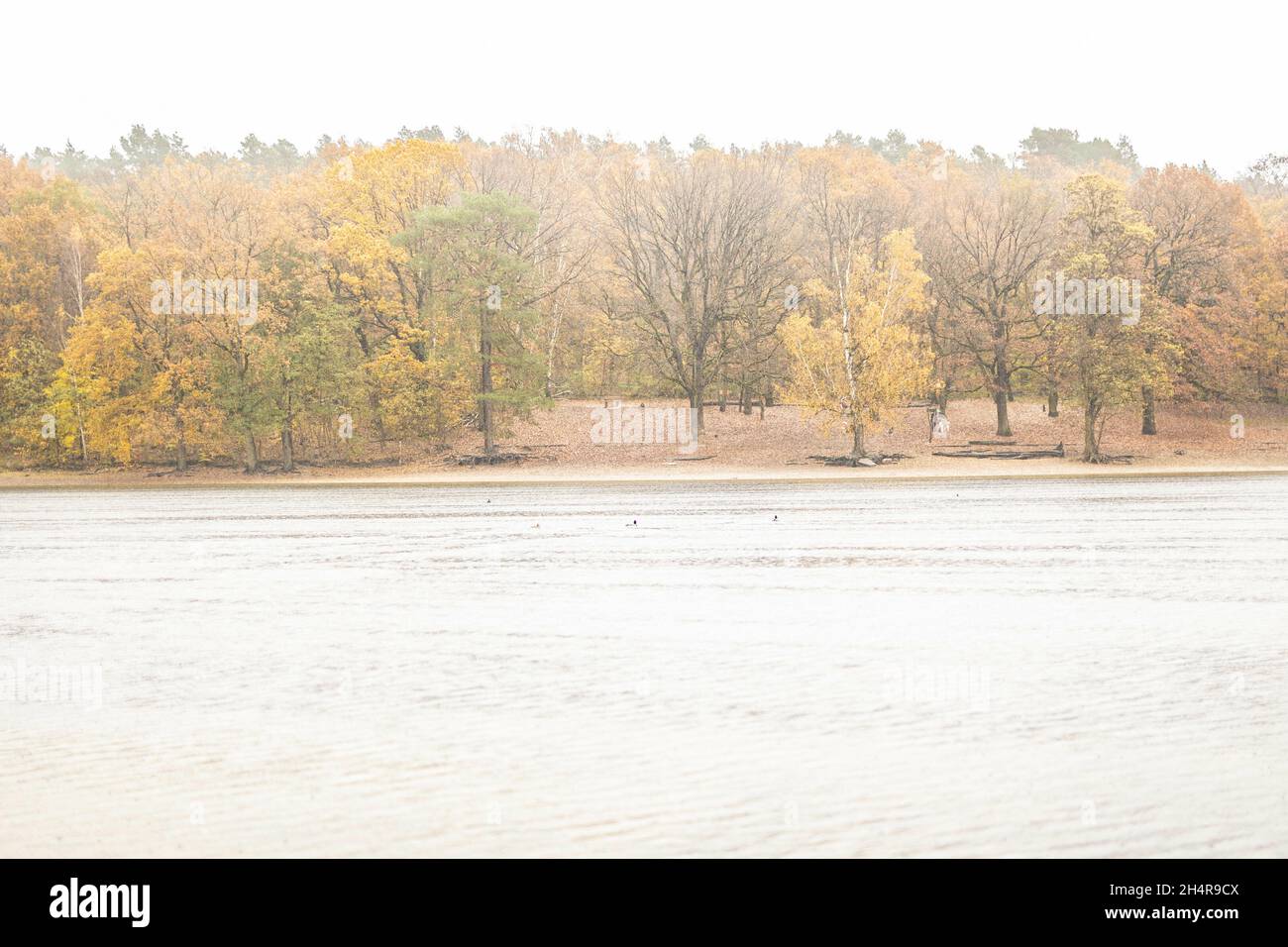 Berlin, Deutschland. 04th Nov, 2021. Grunewaldsee in in Berlin