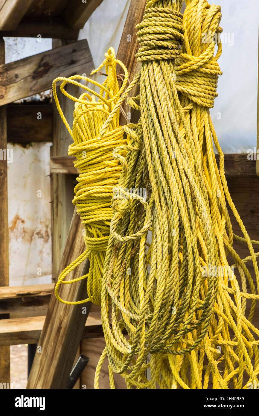 Closeup of yellow wound ropes with knots hung to a post inside a